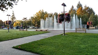Library Park