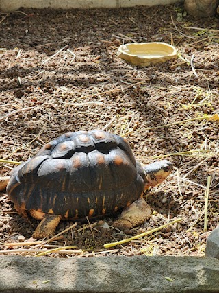 Cleveland Botanical Garden