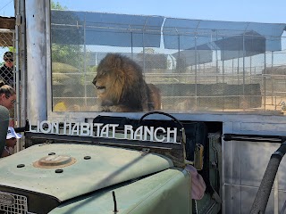 Lion Habitat Ranch inc