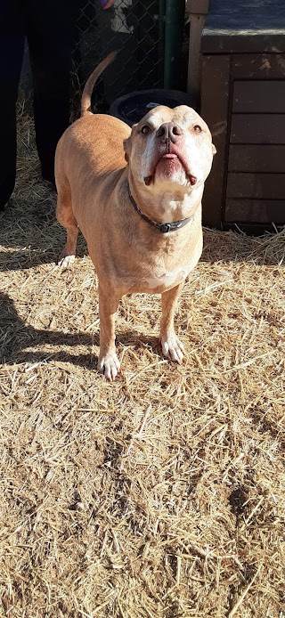 Paddle Creek Pet Ranch