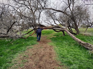 Wilson Creek Park