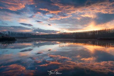 Aguait d'ocells de l'Estany de Sils