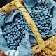 Photo of Blueberry Hill - 2488 Flat Top Egeria Road, Odd, WV 25902, USA
