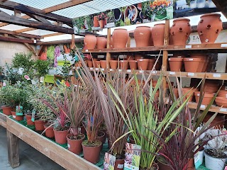 Laviada Somió Centro de Jardinería