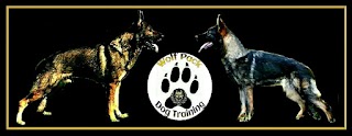 Wolf Pack Dog Training And Animal Care