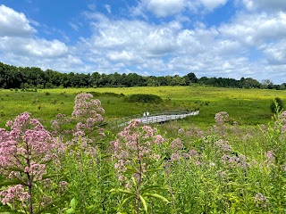 Meadow Garden