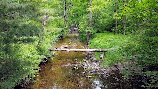 Laughing Brook Wildlife Sanctuary