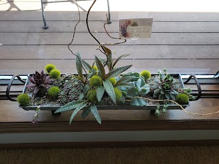 Luverne Flowers and Greenhouses