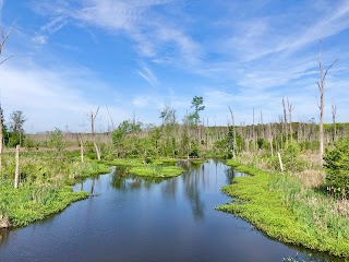 American Tobacco Trail - New Hill Parking Area