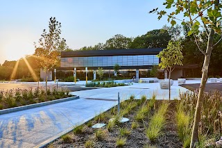 Jill Perelman Pavilion