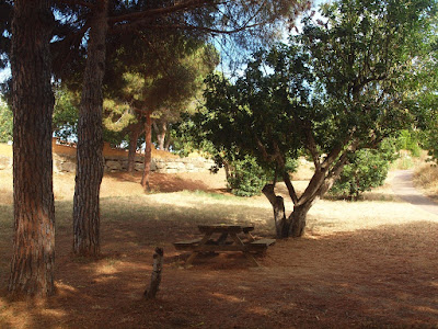 Cerro del Dragón - Turó del Drac