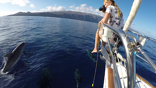 Serea Yachting excursiones marítimas El Hierro