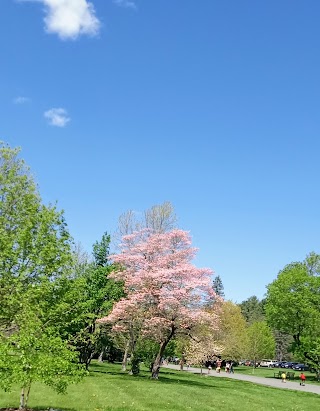 Cushing memorial park children’s grove