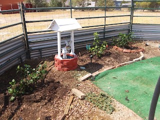 Garden Center at The Home Depot