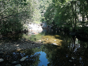 Charco El Campesino