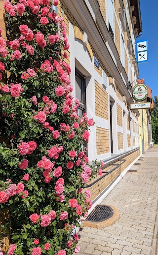 Restaurant & Pension "Zur Elbe"