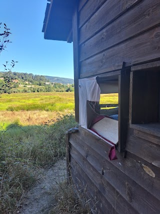 Observatorio de aves