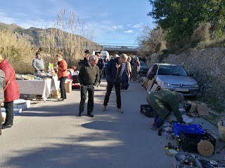 Municipal Pool Jaĺon Valley Market