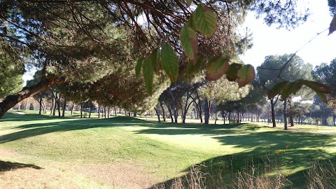 Club de Campo Villa de Madrid, piscina olímpica