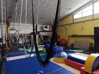 Cirque en Scène