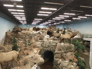 Rosenbruch World Wildlife Museum