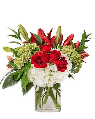 Penguin Flowers - Florist & Flower Delivery