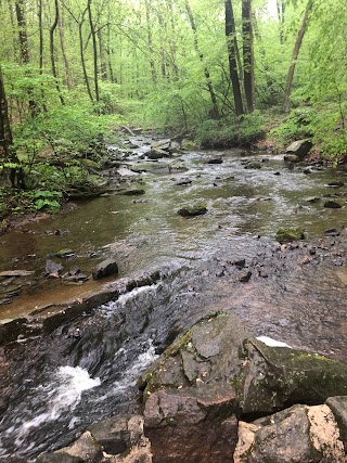 Hacklebarney Hiking Trail