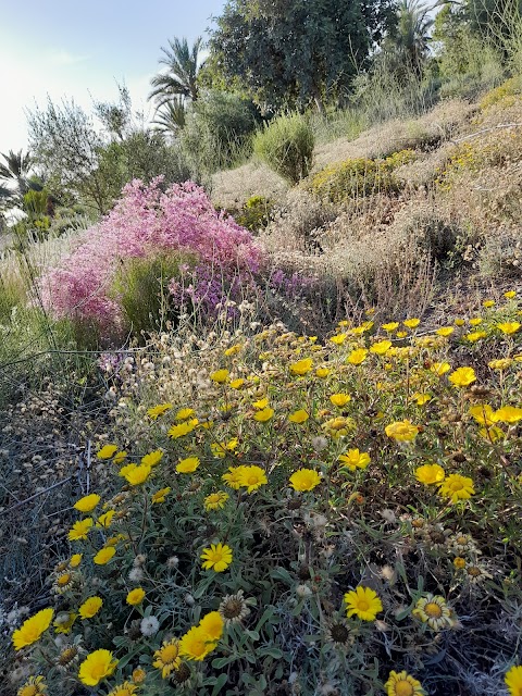 Parque El Boticario de Almería