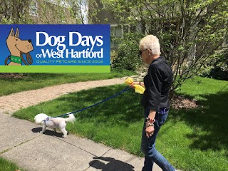 Dog Days of West Hartford