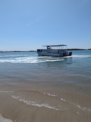 Carolina Ocean Studies; Coastal Field Trips and Outdoor Education