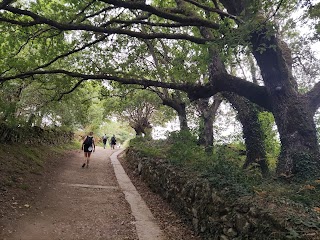 Rutas Meigas - Rutas, Experiencias y Camino de Santiago