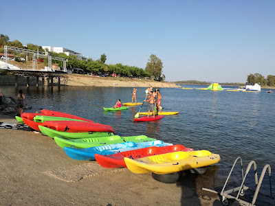 Playa de Orellana