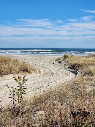 Cape May National Wildlife Refuge