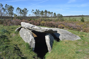 Dolmen Arca da Piosa