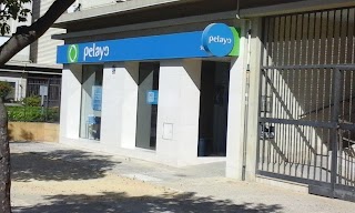 Oficina Seguros Pelayo