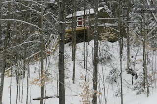 Vermont Tree Cabin