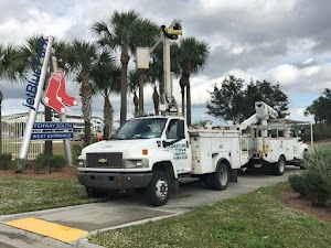 Coastline Tree Service