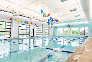 Arkansas Swim Academy