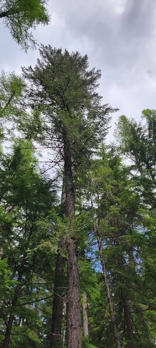 Marten Creek Campground