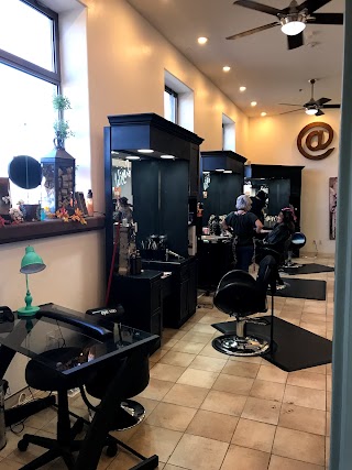 New York Moon Salon