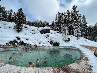 Jackson Hole Iditarod Sled Dog Tours