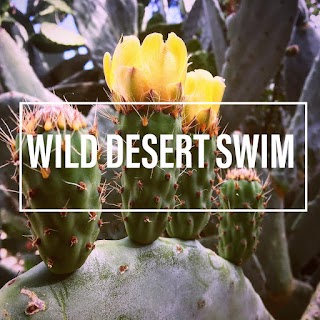 Wild Desert Swim