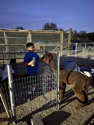 Nature Health Farms Petting Zoo & Alpaca Farm Wedding Chapel in Pahrump