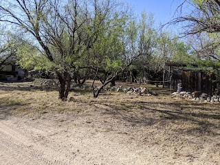 Tucson Wildlife Center Inc