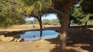 Aula de la Naturaleza La Huerta del Novo