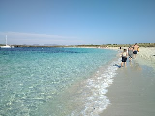 Catamarán Ibiza Star