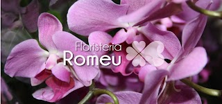 Floristería Romeu