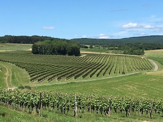 Cottage avec vue sur les vignes, Côté Bourgogne