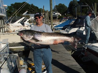 Reel Steal Fishing Charters