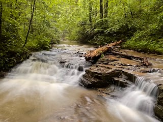 StayOver Cabin Rentals at Red River Gorge